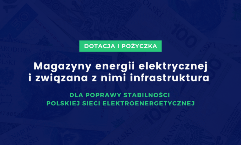 Magazyny energii elektrycznej i związana z nimi infrastruktura